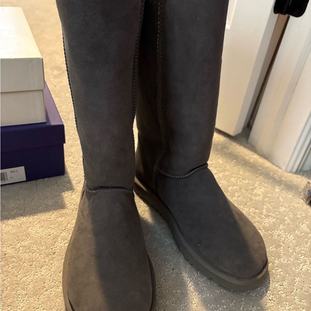 UGG Women's Charcoal Suede Winter Boots
